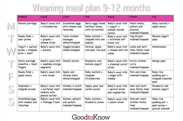 BABY FOOD MEAL PREP (9-12 MONTHS) + FREE Downloadable